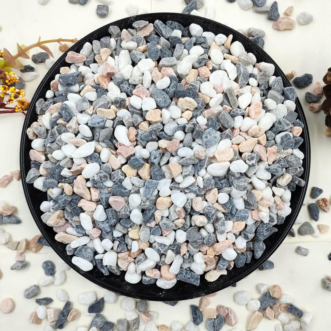 Aquarium Planting - 2LB Succulent Gravel Pebbles, 1/5 Inch