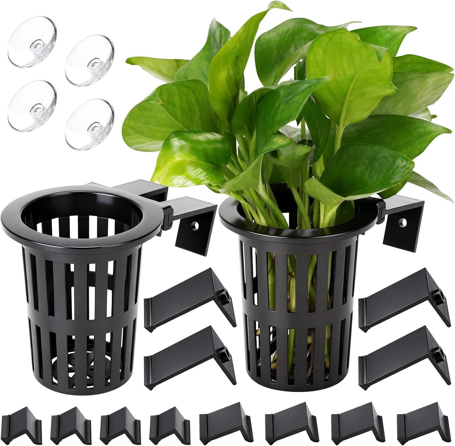 Aquarium Plant Holder - 2025 Upgraded Large Aquarium Plant Holder