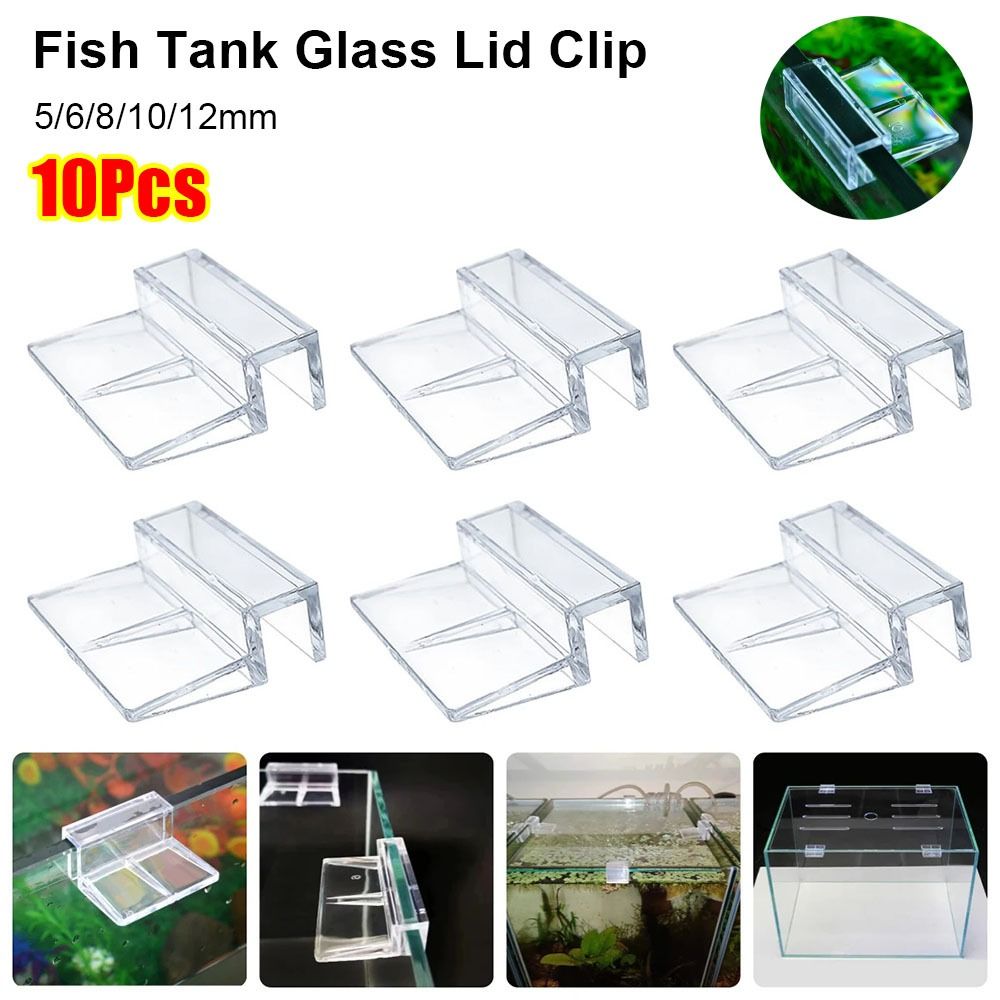 Aquarium Plant Holder - 10Pcs Width 5/6/8/10/12mm Fish Tank Bracket