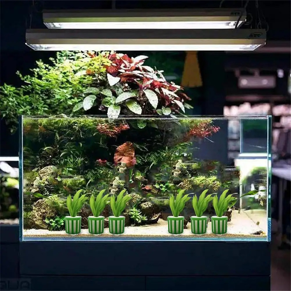 Planted Aquarium Price - 【Lowest-Price!】Aquatic Plant Fixed Holder 10pcs Aquarium