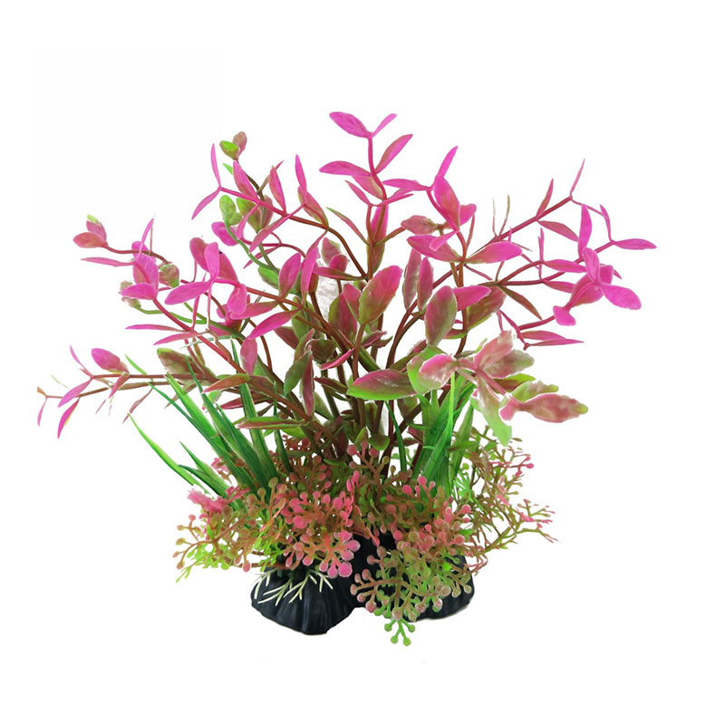Planted Aquarium Price - 10pcs Factory Price Plastic Fish Tank