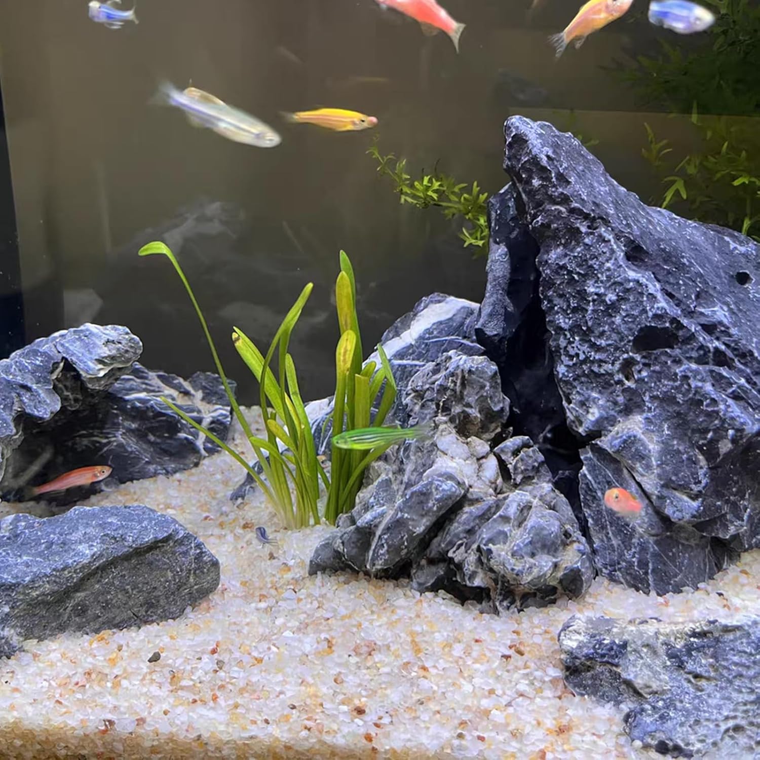 5lb Aquarium Silica Sand 0.4-0 - Aquarium Plant Gravel recension och pris