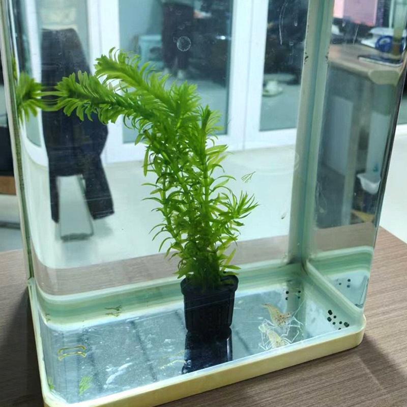 4Pcs Pet Fish Tank Landscaping - Aquarium Planting recension och pris