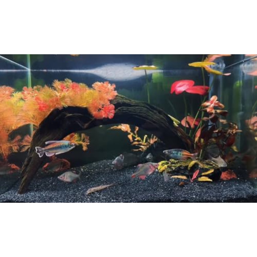 Aquarium Sand, 0 Fish Tank San - Aquarium Plant Gravel recension och pris