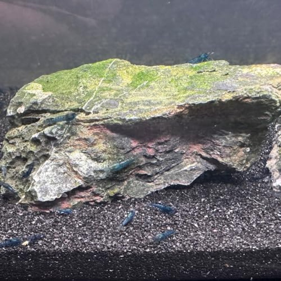 Aquarium Sand, 0 Fish Tank San - Aquarium Plant Gravel recension och pris
