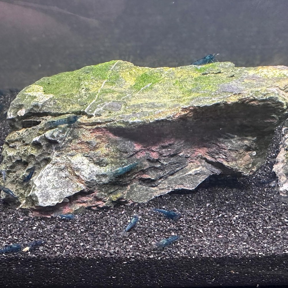 Black Aquarium Sand 2lbs, Fine - Aquarium Plant Gravel recension och pris
