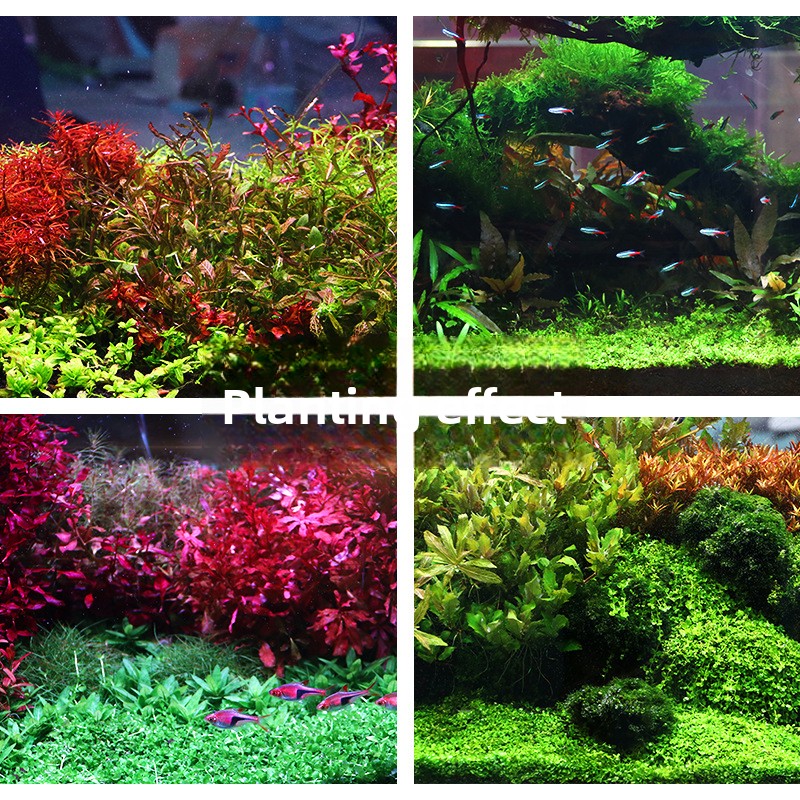SYSENCIAGA Planted Aquarium Su - Aquarium Plant Gravel recension och pris