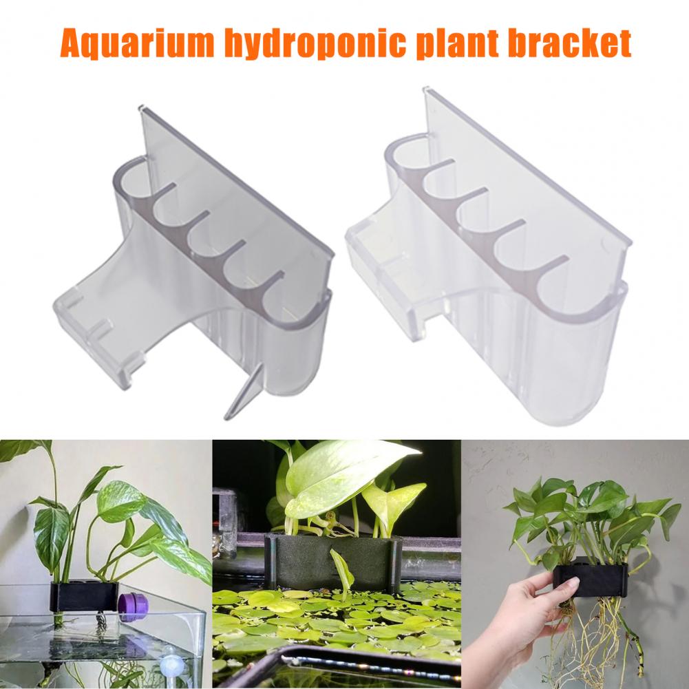 4.5/6.5cm Aquarium Plant Holde - Aquarium Plant Holder recension och pris