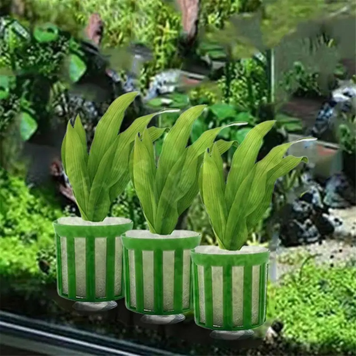【Lowest-Price!】Aquatic Plant F - Planted Aquarium Price recension och pris