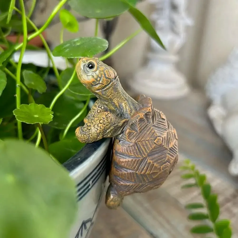 Fishing Turtle Hanging Turtle  - Aquarium Planting recension och pris