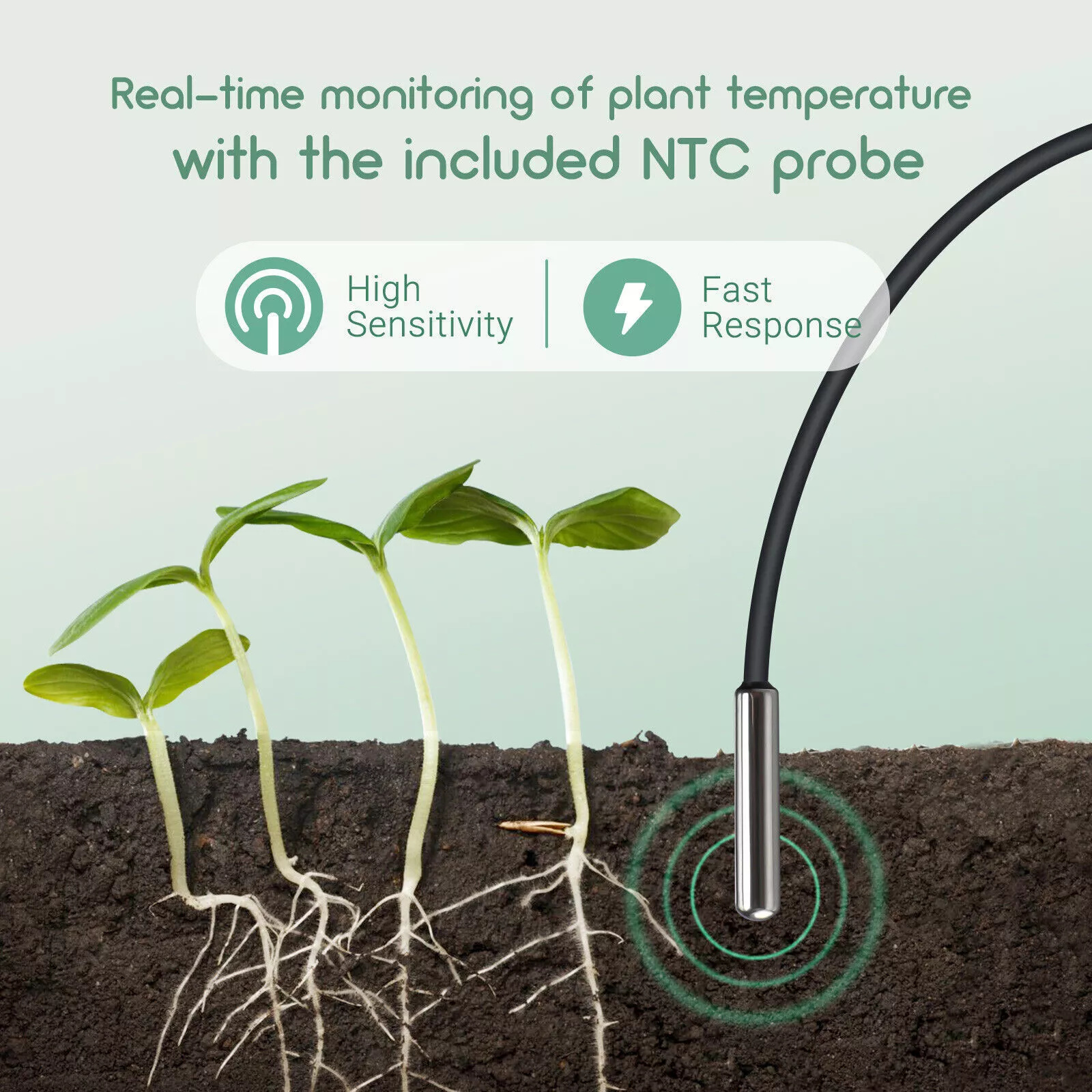Lerway Plant Growth Heating Ma - Planted Aquarium Heater recension och pris