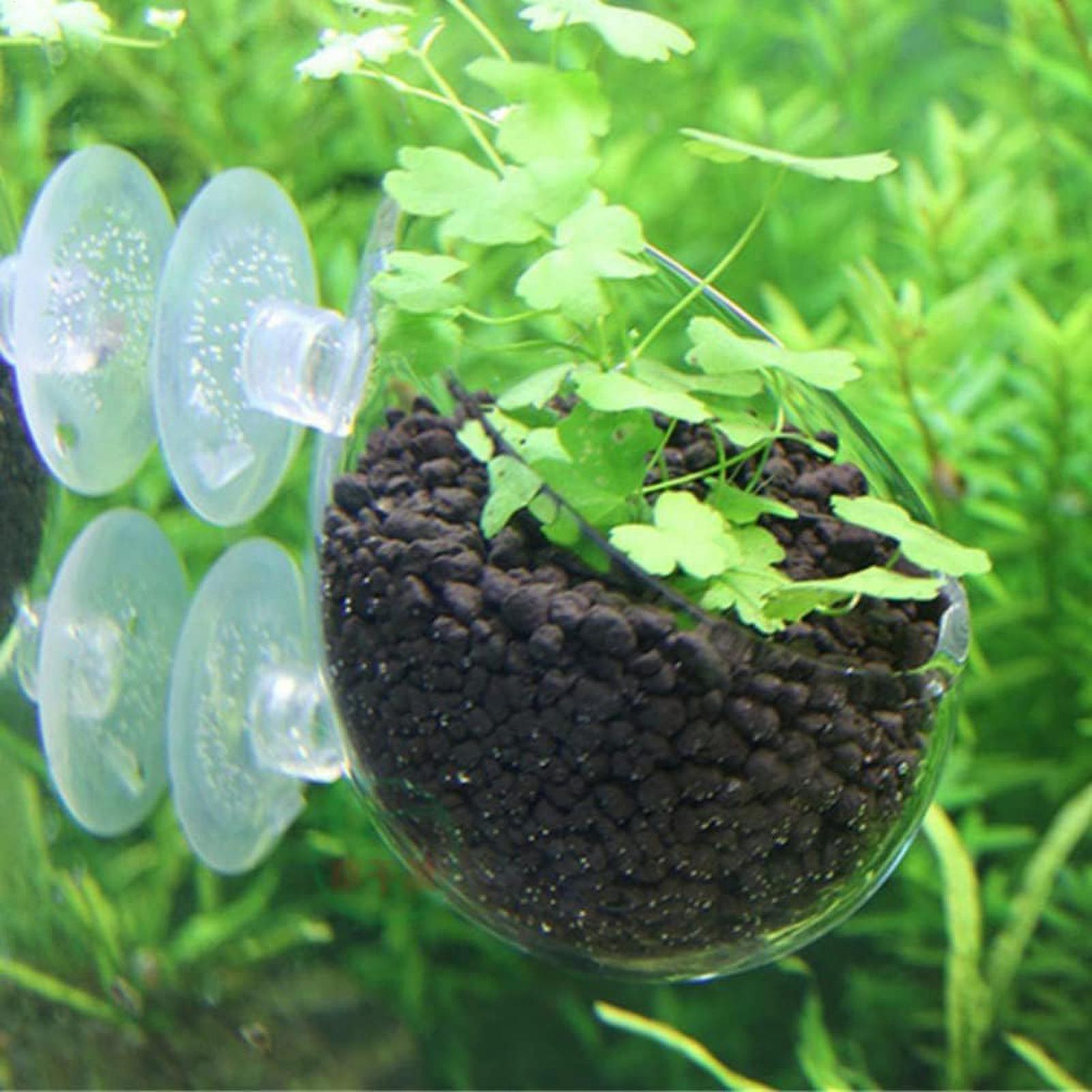 Aquarium Glass Plant Pot with  - Aquarium Plant Gel recension och pris
