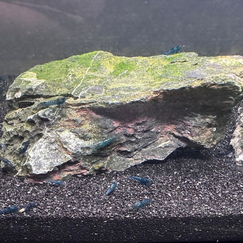 YISZM Aquarium Sand, 20lbs Bla - Aquarium Plant Gravel recension och pris