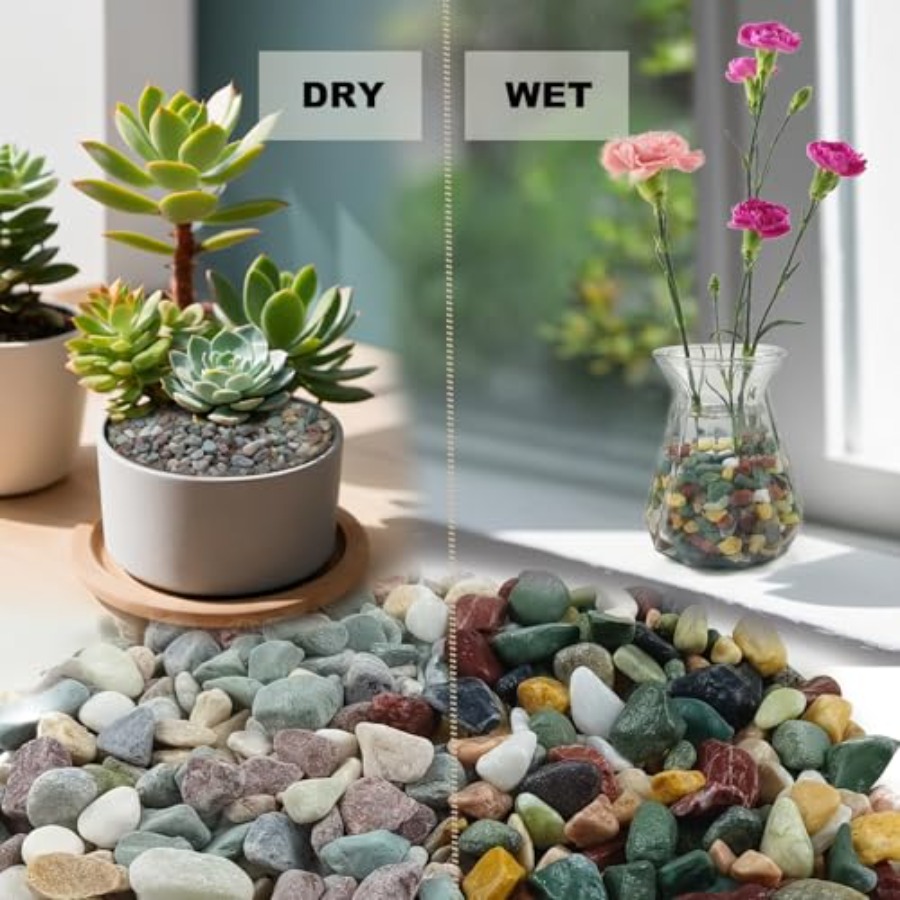 45LB Succulents Rocks for Plan - Aquarium Plant Gravel recension och pris