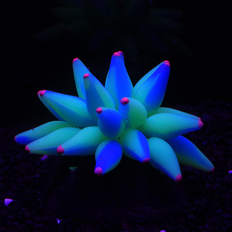 Fluorescent Bubble Coral Lumin - Aquarium Plant Gel recension och pris