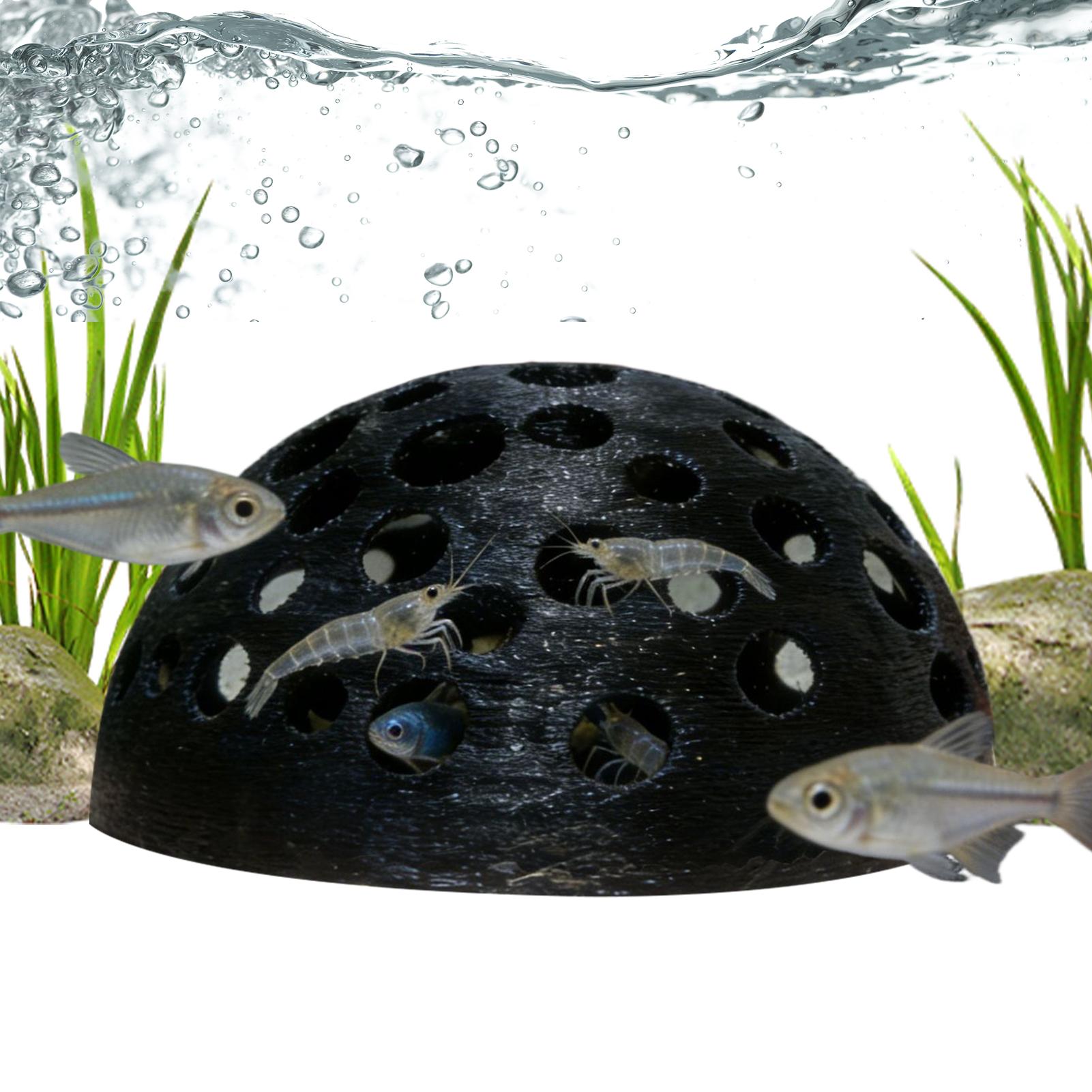 Porous Shrimp Cave Natural Dom - Aquarium Planted Shop recension och pris