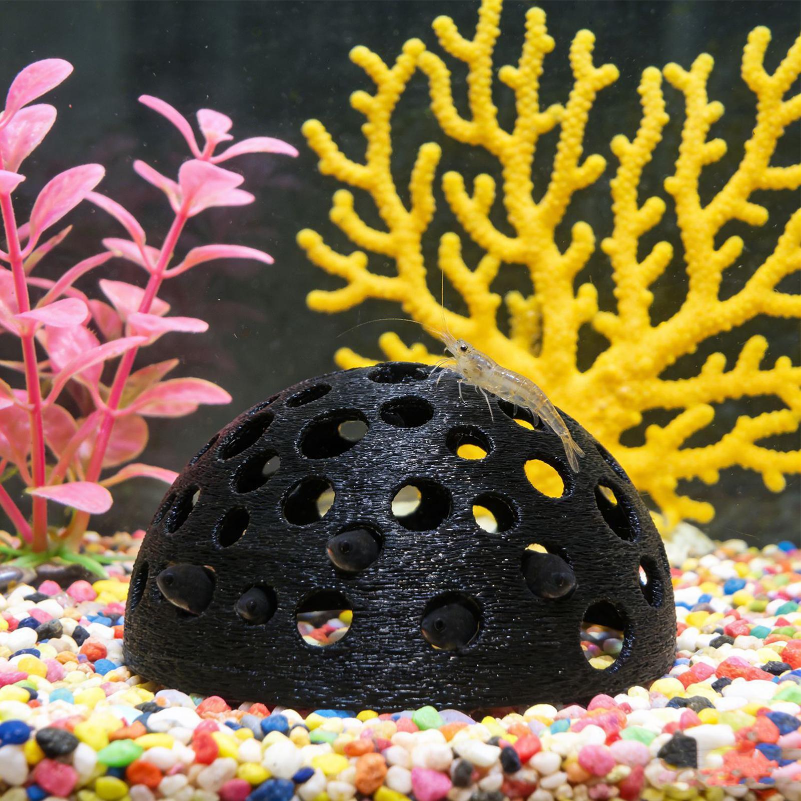 Porous Shrimp Cave Natural Dom - Aquarium Planted Shop recension och pris