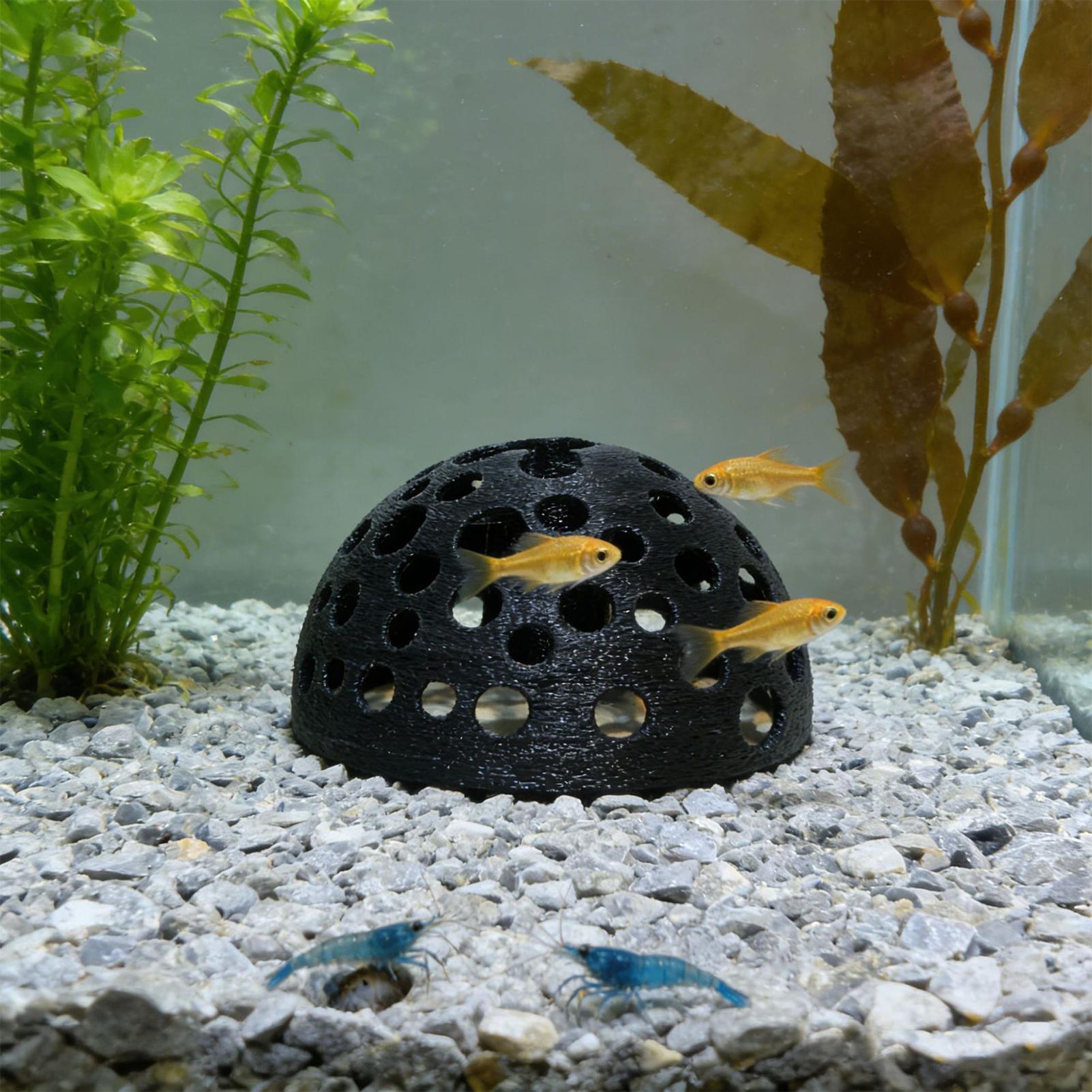 Porous Shrimp Cave Natural Dom - Aquarium Planted Shop recension och pris