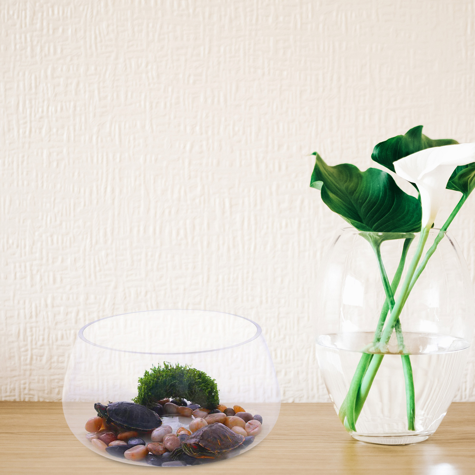 Round Mini Aquarium Transparen - Aquarium Planted Shop recension och pris