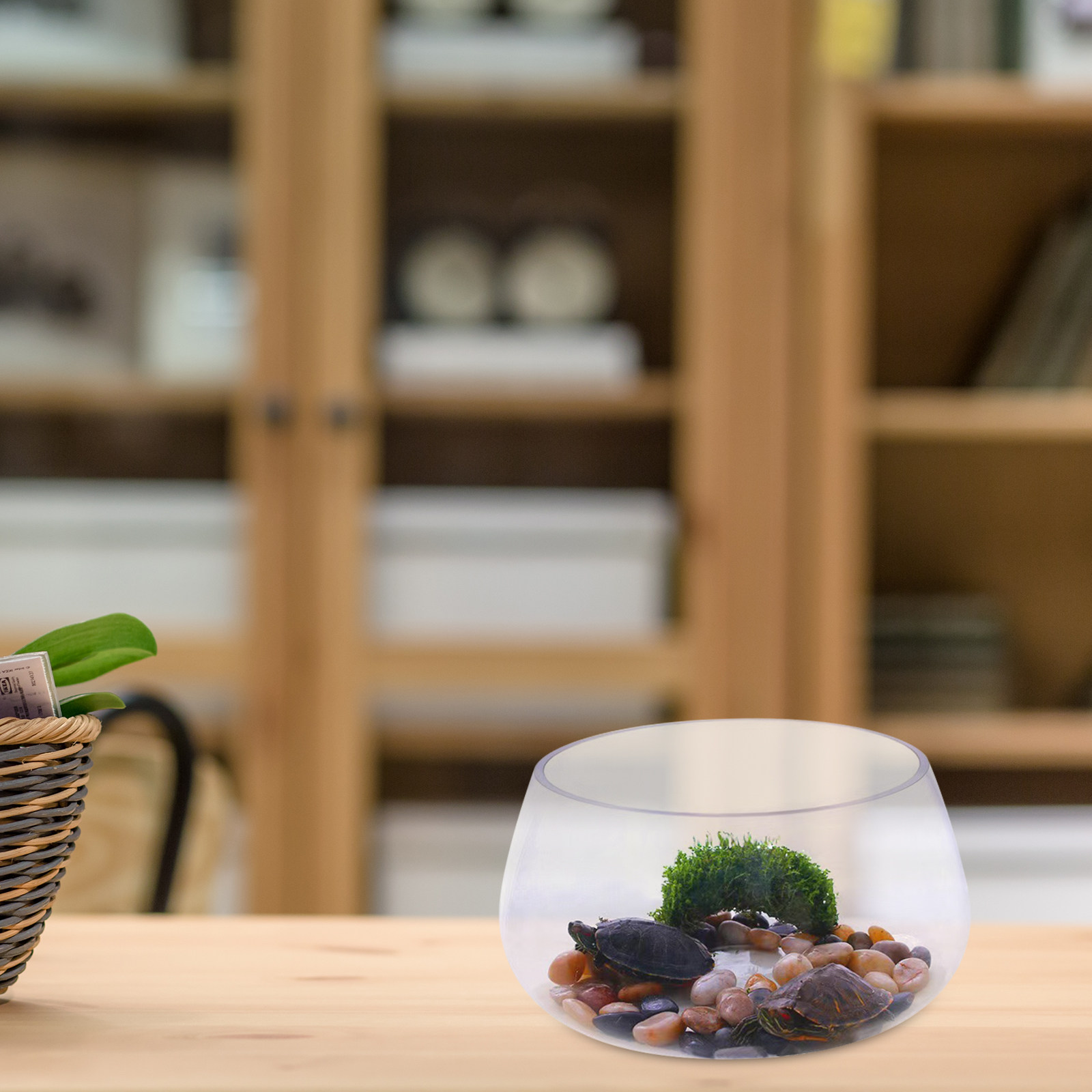 Round Mini Aquarium Transparen - Aquarium Planted Shop recension och pris