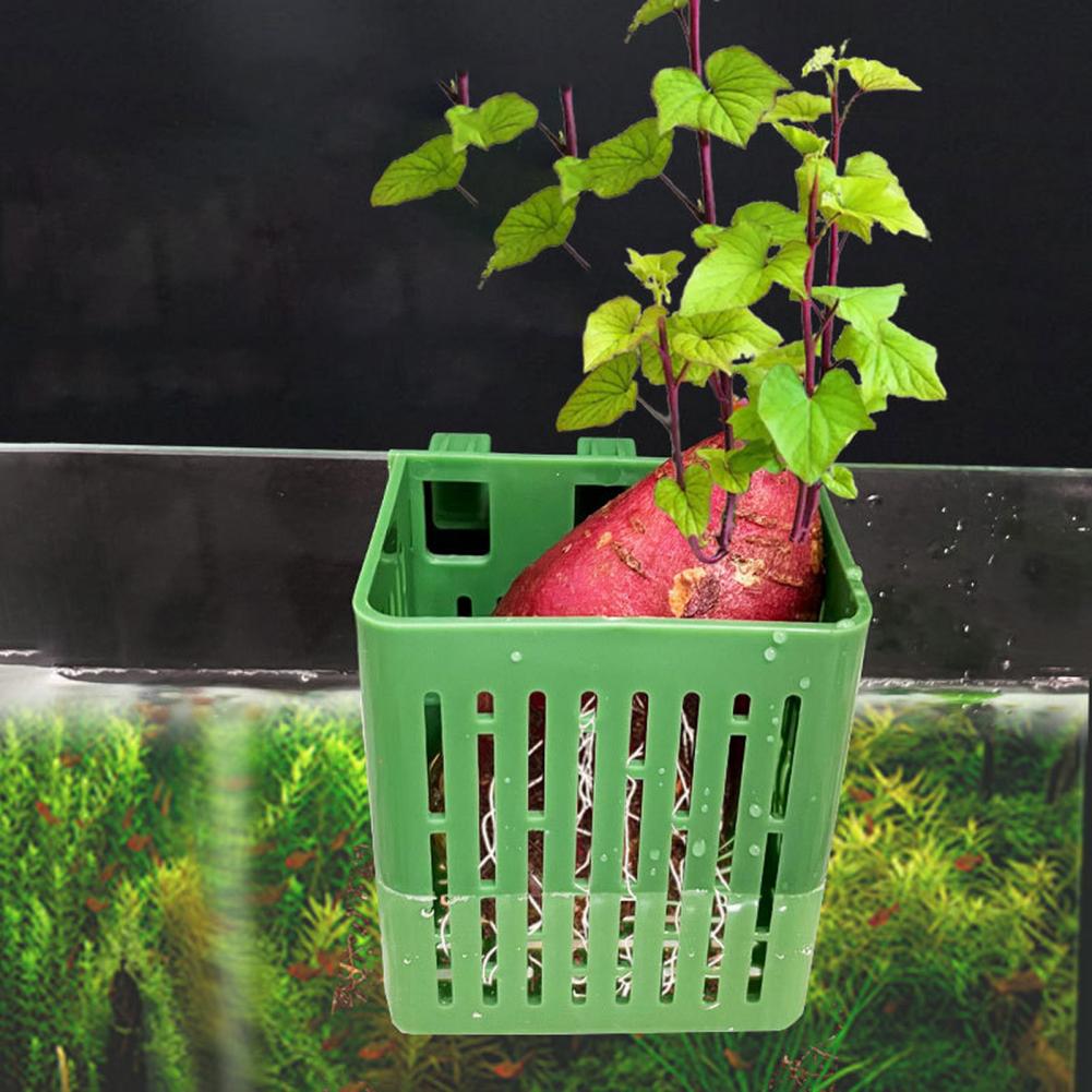 Hanging Aquarium Plant Holder  - Aquarium Plant Holder recension och pris