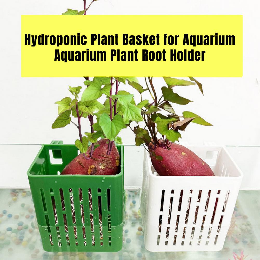 Hanging Aquarium Plant Holder  - Aquarium Plant Holder recension och pris