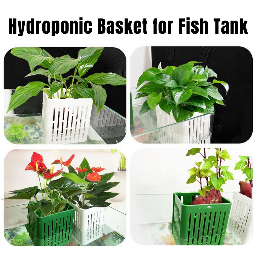 Hanging Aquarium Plant Holder  - Aquarium Plant Holder recension och pris