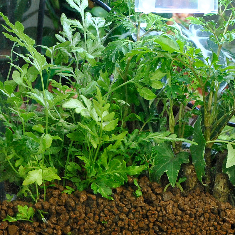 WAJABABY Akadama Soil - Natura - Planted Aquarium Japanese recension och pris