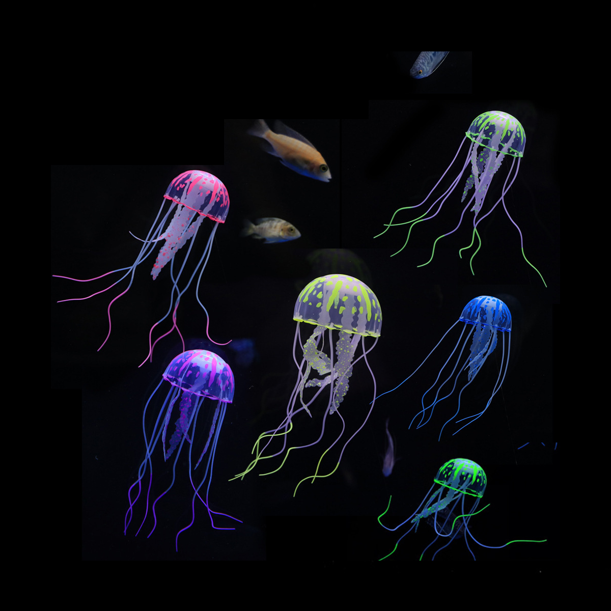 1 Pc Coral Moon Jellyfish Aqua - Aquarium Plant Gel recension och pris