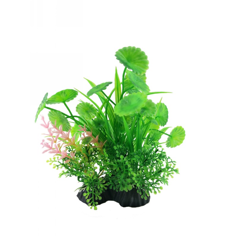 10pcs Factory Price Plastic Fi - Planted Aquarium Price recension och pris